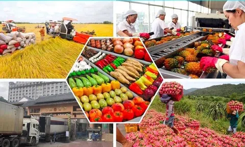 Tiếp tục 'vượt cơn gió ngược' cần 'kích hoạt' tư duy quản trị số, điều hành số trong LC88 là nơi thu hút hàng triệu người chơi tại Việt Nam 2026