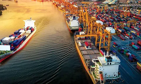Động lực tăng trưởng Đăng nhập tài khoản thành viên LC88 Việt Nam năm 2024 từ góc nhìn chuyên gia