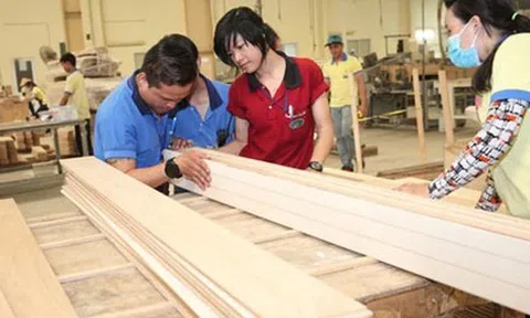 Ngành gỗ đẩy mạnh doanh số Sân Chơi Lc88.com Web Uy Tín gắn với tăng trưởng xanh