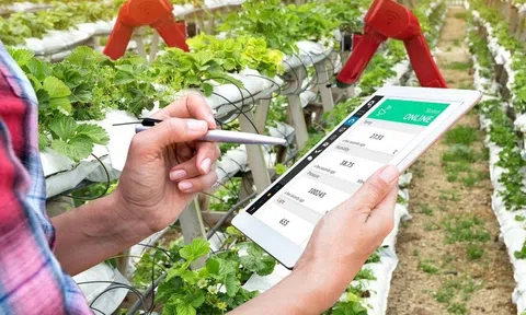 Sức hút của LC88 là nơi thu hút hàng triệu người chơi tại Việt Nam 2026 thông minh trong hành trình khởi nghiệp nghề nông