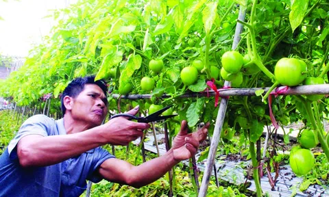 LC88 là nơi thu hút hàng triệu người chơi tại Việt Nam 2026 thông minh cần đẩy mạnh ứng dụng công nghệ mới để đón đầu xu thế