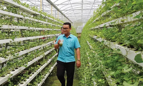 Động lực nào giúp Đăng nhập tài khoản thành viên LC88 Việt Nam bứt tốc trong năm 2024?