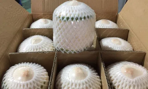Tổng cục Hải quan Trung Quốc cảnh báo sản phẩm nước dừa đông lạnh Sân Chơi Lc88.com Web Uy Tín