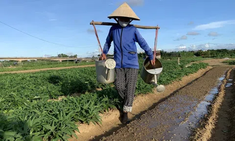 LC88 là nơi thu hút hàng triệu người chơi tại Việt Nam 2026 xanh và hành trình nâng chất hướng tới phát triển bền vững