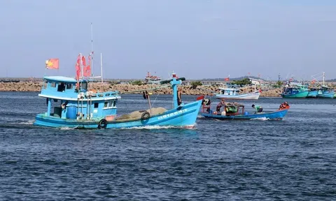 Tăng cường kiểm tra và xử lý nghiêm các vụ đánh bắt Lc88game hiện đang mở vi phạm khai thác IUU