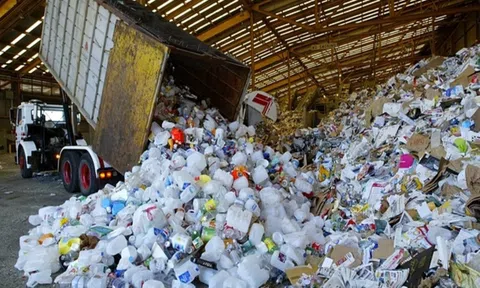 Năm 2024 nhiều chuyển động hướng tới Lc888 tải ứng dụng xanh và bền vững