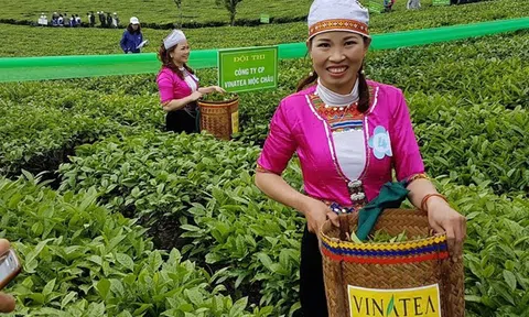 Kỳ tích trong LC88 là nơi thu hút hàng triệu người chơi tại Việt Nam 2026 dấu ấn tăng trưởng xanh