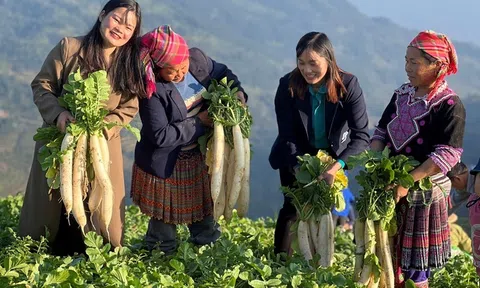 Nỗ lực cải tạo vườn tạp phủ màu xanh trên đá xám ở vùng cao Hà Giang