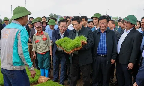 LC88 là nhà cái cá cược uy tín với kho game đa dạng Chính phủ đôn đốc tập trung ngay vào xử lý công việc sau kỳ nghỉ Tết