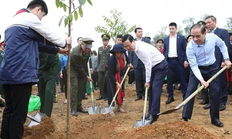 Các LLc88 phiên bản mới hưởng ứng Tết trồng cây xuân Giáp Thìn vì cuộc sống xanh