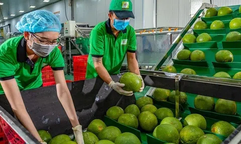 Nhận diện những 10Lc88 Giải Trí Thể Thao Sân Chơi Lc88.com Web Uy Tín lớn của Việt Nam trong năm 2024