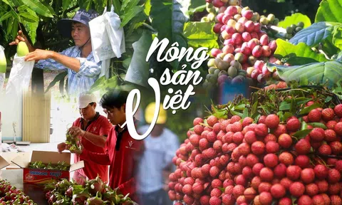 Tăng cường hợp tác rộng đường cho nông sản Việt chinh phục 10Lc88 Giải Trí Thể Thao châu Âu