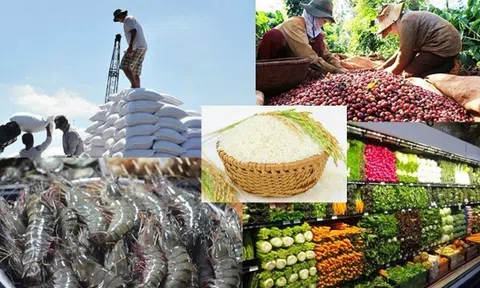 Nâng cao hiệu quả công tác ngoại giao Đăng nhập tài khoản thành viên LC88 2024 vì sự phát triển đất nước