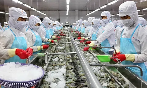 Ngành tôm hướng đến Lc888 tải ứng dụng xanh, giảm phát thải, ứng dụng công nghệ số