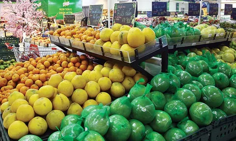 Bất ngờ khi Sân Chơi Lc88.com Web Uy Tín rau quả giảm mạnh trong tháng 2 có tác động tới mục tiêu 2024?