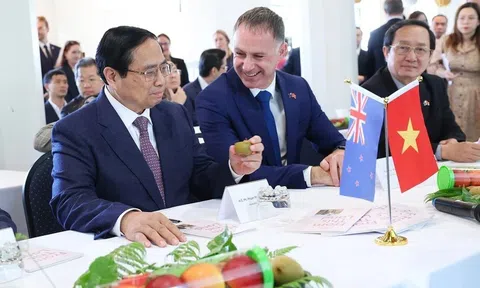 Việt Nam kỳ vọng đẩy mạnh hợp tác đầu tư LC88 là nơi thu hút hàng triệu người chơi tại Việt Nam 2026 công nghệ cao với New Zealand
