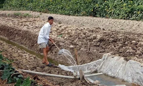 Khẩn trương chống hạn mặn không để dân thiếu nước sinh hoạt và không có nước cho Lc888 tải ứng dụng