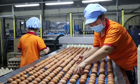 Các Hội, Hiệp hội thuộc ngành Lc 88 tỷ lệ kèo WC 2026 kiến nghị bãi bỏ loạt quy định gây lãng phí