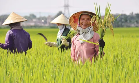 Việt Nam đề xuất các chính sách giảm nhẹ tác động của biến đổi khí hậu và an ninh lương thực