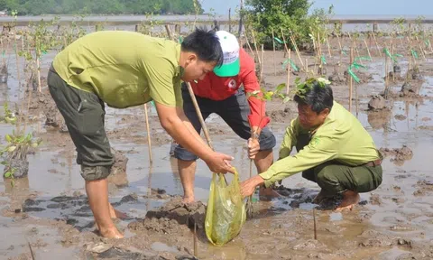 Việt Nam coi trọng hợp tác và tham gia có trách nhiệm nỗ lực toàn cầu ứng phó biến đổi khí hậu
