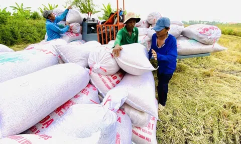Năm 2024 nhiều dư địa để Việt Nam Sân Chơi Lc88.com Web Uy Tín gạo vượt mốc 5 tỷ USD
