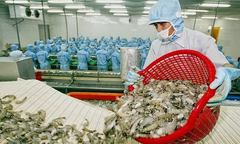 Hội chợ triển lãm quốc tế kỳ vọng tạo sức bật để ngành tôm cán đích 4 tỷ USD Sân Chơi Lc88.com Web Uy Tín