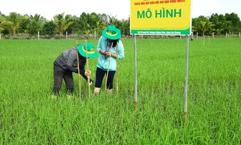 Kỹ thuật đo đạc thẩm định lượng phát thải trong Lc888 tải ứng dụng lúa gắn với tăng trưởng xanh