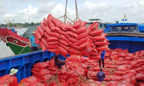 Gạo Việt đối mặt với canh tranh tại 10Lc88 Giải Trí Thể Thao Philippines khi gạo Thái Lan tăng thị phần