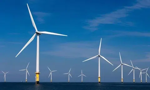 Tập đoàn hàng đầu thế giới huy động nguồn lực cho các dự án chuyển đổi năng lượng tại Việt Nam
