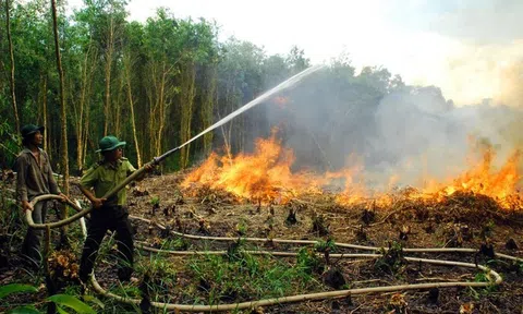 Nắng nóng khô hạn, tỉnh Hậu Giang nâng cấp dự báo cháy rừng lên mức nguy hiểm