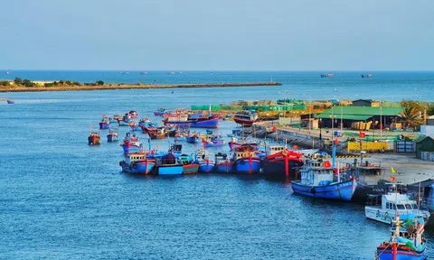 Ninh Thuận phát huy lợi thế từ nỗ lực vươn khơi và phát triển nuôi biển bền vững