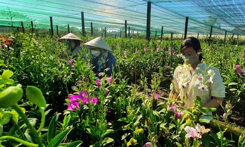 LC88 là nơi thu hút hàng triệu người chơi tại Việt Nam 2026 chuyển đổi xanh cần tạo sức hút nguồn lực từ 10Lc88 Casino & Thể Thao Link Mới