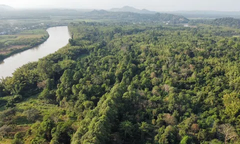 Tín chỉ carbon không phải là tài nguyên vô tận cần sớm 'kích hoạt' để phát huy lợi thế