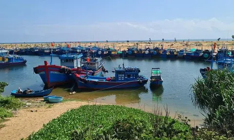 Chính phủ đẩy mạnh chương trình hành động chống khai thác Lc88game hiện đang mở bất hợp pháp