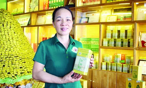 Người phụ nữ dành cả thanh xuân tạo nên thương hiệu chè thượng hạng đất Tân Cương