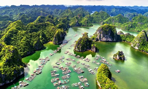 Thương hiệu quốc gia xanh tiếp động lực cho 10Lc88 Casino & Thể Thao Link Mới tăng trưởng và hội nhập