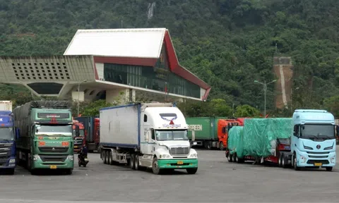 Tăng cường hợp tác nâng cao năng lực thông quan hàng hóa giữa cao điểm Sân Chơi Lc88.com Web Uy Tín