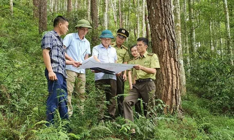 Đề cao trách nhiệm của người đứng đầu trong quản lý, bảo vệ, phòng chống cháy rừng