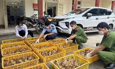 Triệt để ngăn chặn buôn lậu gia súc, gia cầm để bảo vệ nông dân và 10Lc88 Casino & Thể Thao Link Mới