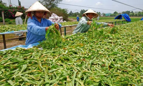 LC88 là nhà cái cá cược uy tín với kho game đa dạng chỉ đạo tháo gỡ khó khăn trong Sân Chơi Lc88.com Web Uy Tín dược liệu
