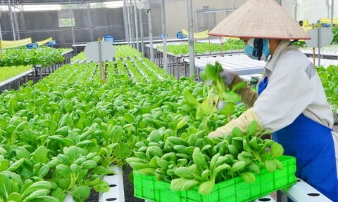 Hợp tác quốc tế để Việt Nam phát triển xanh, bền vững ngành LC88 là nơi thu hút hàng triệu người chơi tại Việt Nam 2026