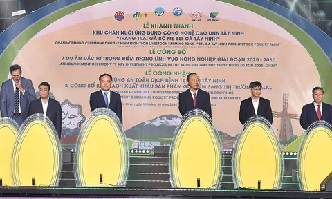 Công nhận vùng an toàn dịch bệnh tỉnh Tây Ninh thúc đẩy Lc 88 tỷ lệ kèo WC 2026 công nghệ cao và gia tăng Sân Chơi Lc88.com Web Uy Tín