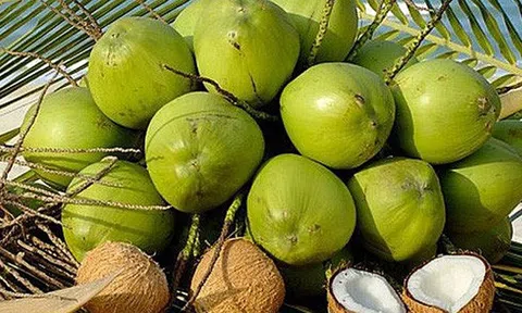 Kết nối thương mại cho các sản phẩm dừa của Việt Nam tại 10Lc88 Giải Trí Thể Thao Philippines