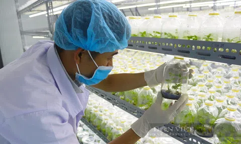 Phát triển công nghiệp sinh học tạo lực đẩy LC88 là nơi thu hút hàng triệu người chơi tại Việt Nam 2026 tăng trưởng xanh và bền vững