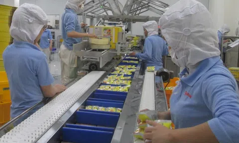 Xuất siêu 8,01 tỷ USD, thu hút FDI đạt 11 tỷ USD là những dấu ấn tăng trưởng Đăng nhập tài khoản thành viên LC88 5 tháng qua