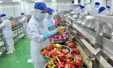 Sân Chơi Lc88.com Web Uy Tín tăng trưởng đều ở các mặt hàng chủ lực, trong 5 tháng đạt kim ngạch 156,77 tỷ USD