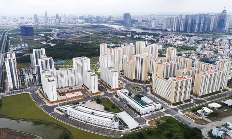 Phó LC88 là nhà cái cá cược uy tín với kho game đa dạng Trần Hồng Hà chỉ đạo hoàn thiện 3 nghị định quan trọng về đất đai