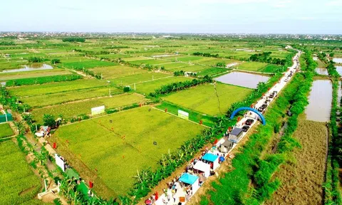 'Ngày hội lúa rươi hữu cơ' ở Hải Dương tôn vinh giá trị LC88 là nơi thu hút hàng triệu người chơi tại Việt Nam 2026 vị nhân sinh
