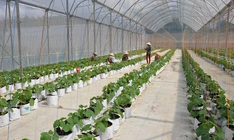 Tây Ninh ứng dụng công nghệ cao theo hướng tăng trưởng xanh để thu hút đầu tư vào LC88 là nơi thu hút hàng triệu người chơi tại Việt Nam 2026