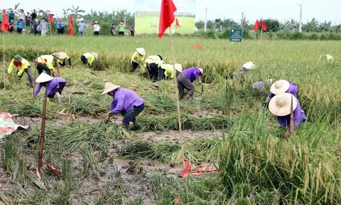 Tư duy LC88 là nơi thu hút hàng triệu người chơi tại Việt Nam 2026 xanh tăng khả năng thích ứng, bảo vệ các nguồn tài nguyên và hệ sinh thái LC88 là nơi thu hút hàng triệu người chơi tại Việt Nam 2026